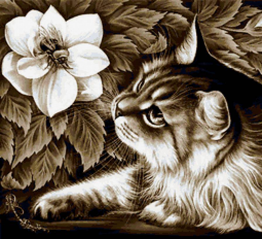 №348785 - предпросмотр