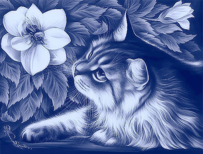 №348804 - оригинал