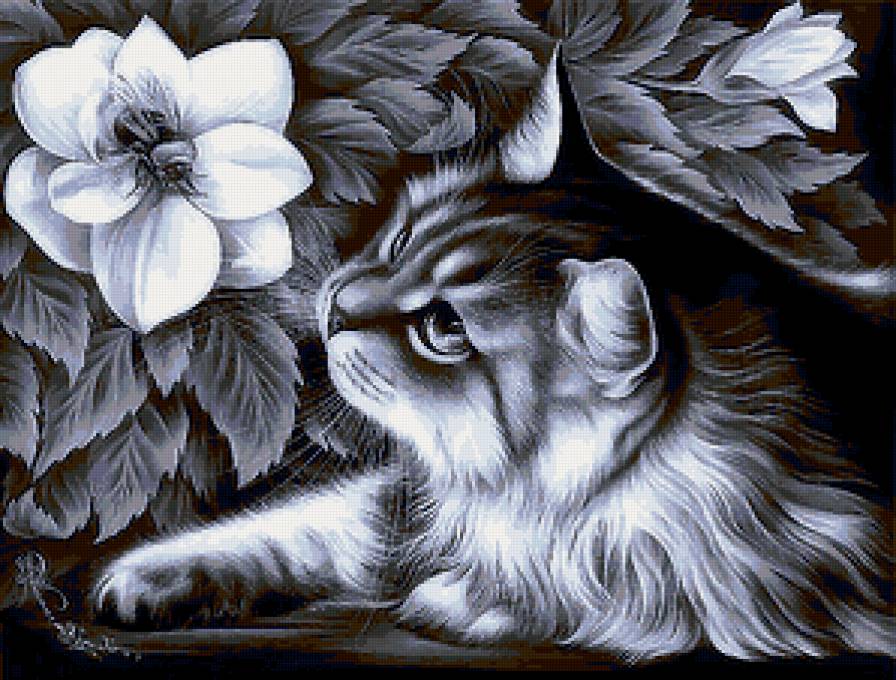 №348808 - предпросмотр