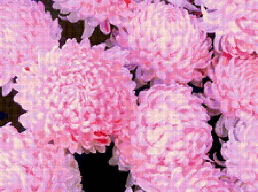 №348821 - цветы - предпросмотр