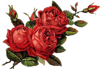 №348951 - оригинал