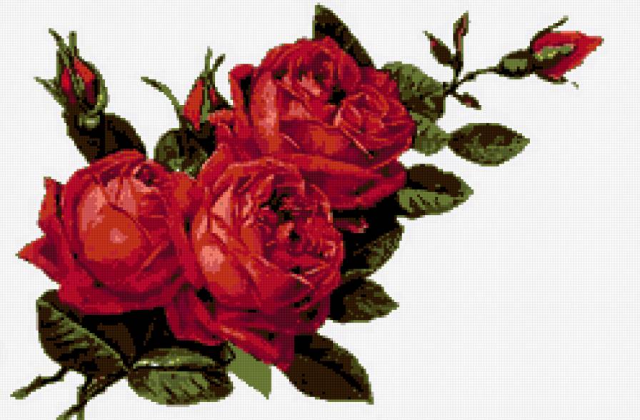 №348951 - предпросмотр