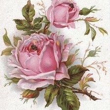 Оригинал схемы вышивки «роза» (№349089)