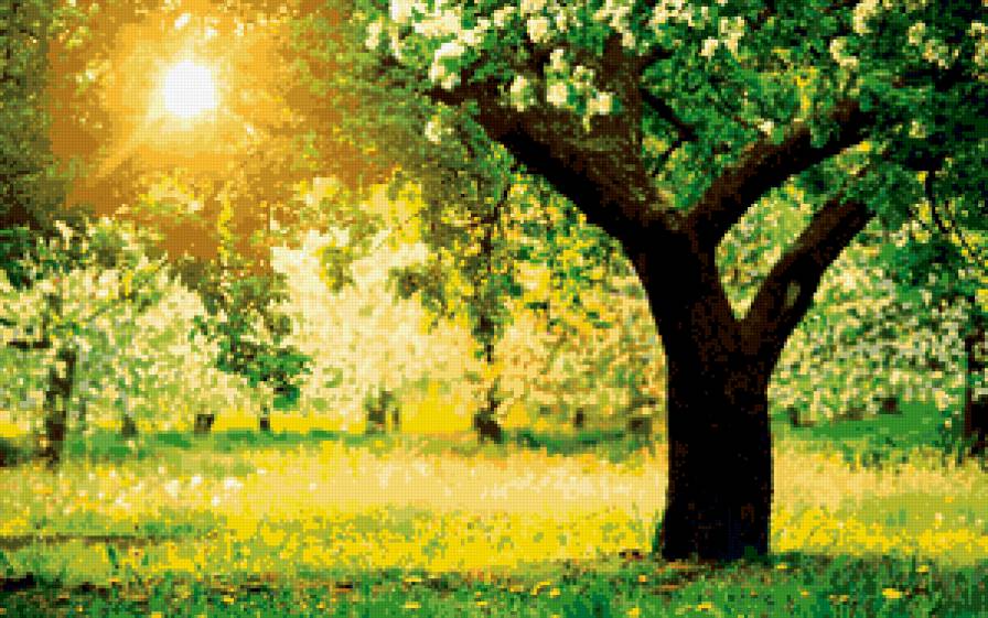 солнечный день - дерево, солнце - предпросмотр