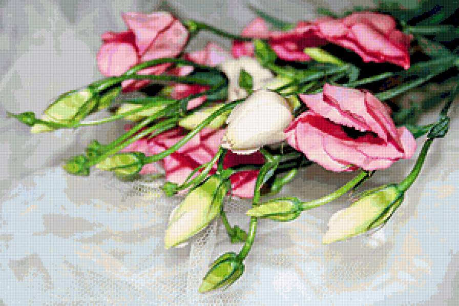 Эустома - цветы эустома - предпросмотр