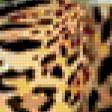 Предпросмотр схемы вышивки «тигр» (№349122)