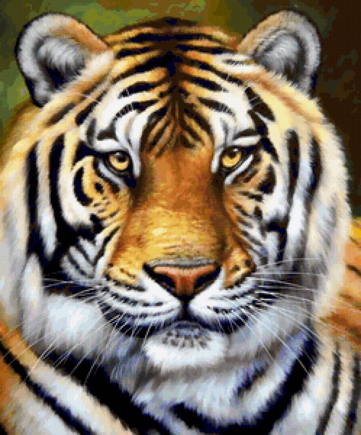 тигр - предпросмотр