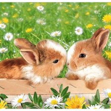 Схема вышивки «кролики»