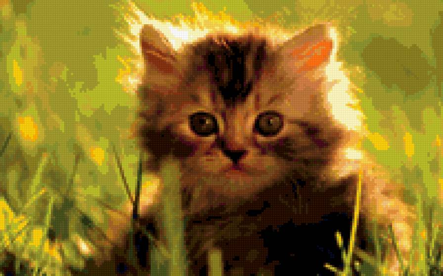 кішечка - предпросмотр