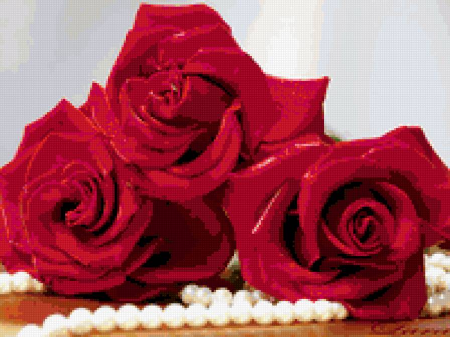 ах эти розы! - предпросмотр