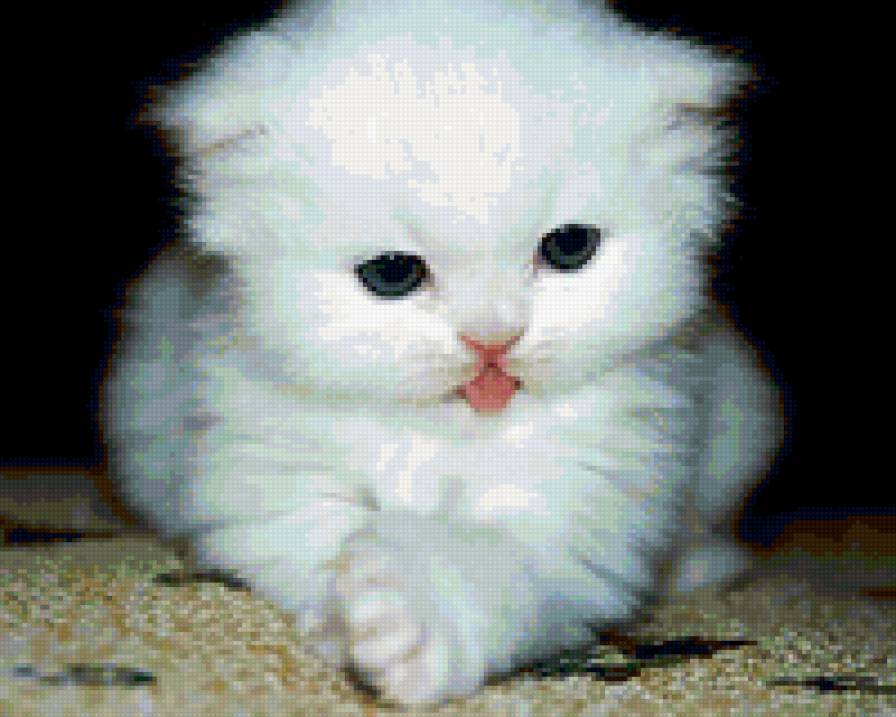 котеночек - предпросмотр