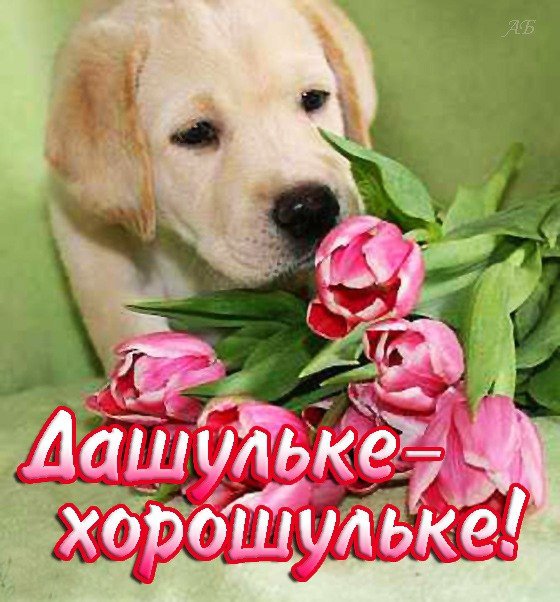 имя - оригинал