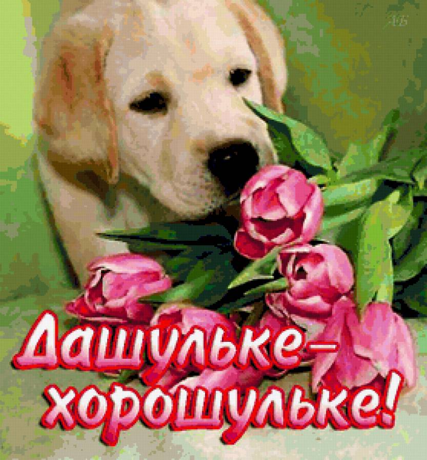 имя - предпросмотр