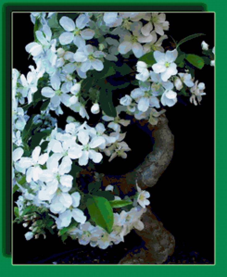 цветы - предпросмотр