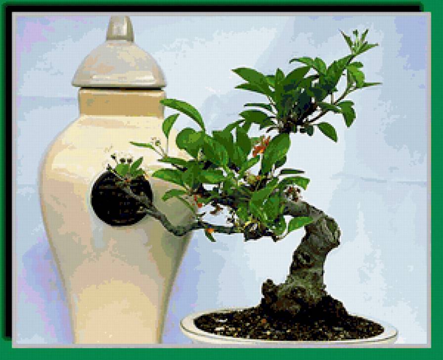 натюрморт - предпросмотр