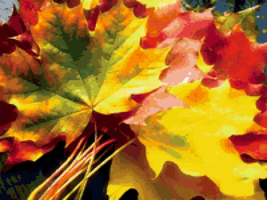 leaves - предпросмотр