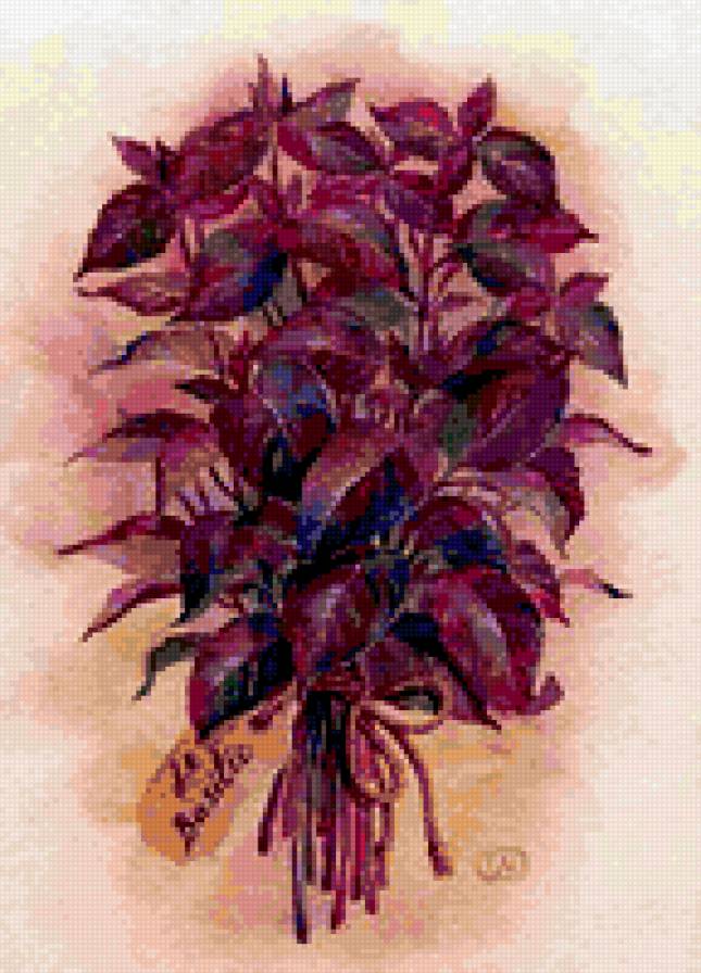 Базилик - растения, кухня - предпросмотр