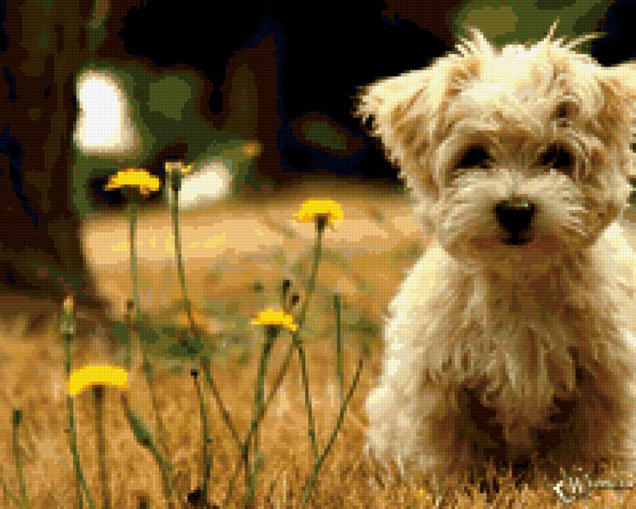 собачка - предпросмотр