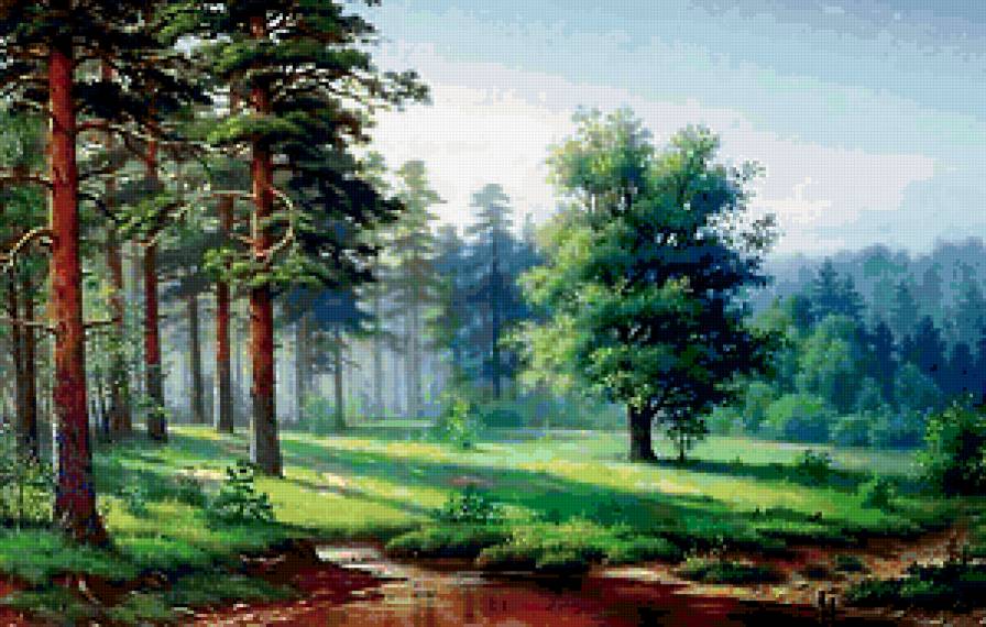 Утренняя дымка - сосны, туман, лес, бор, дымка, утро - предпросмотр
