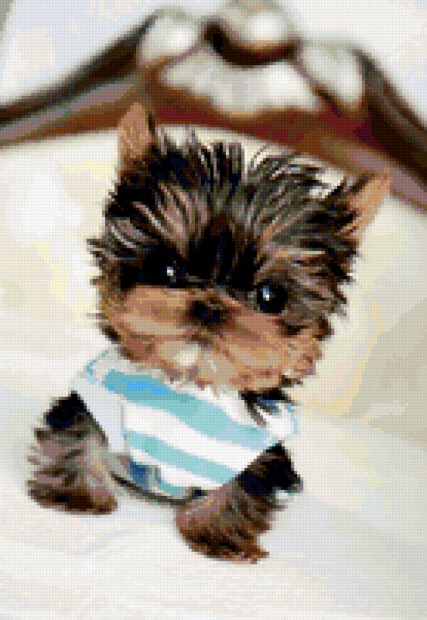 собачка - предпросмотр