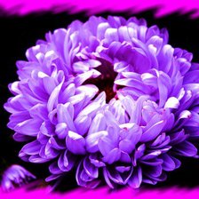 Схема вышивки «№349726»