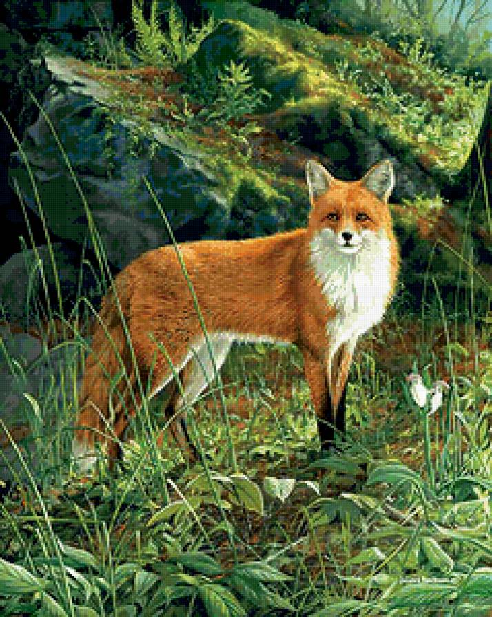 №349770 - предпросмотр