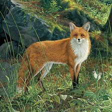 Схема вышивки «№349770»