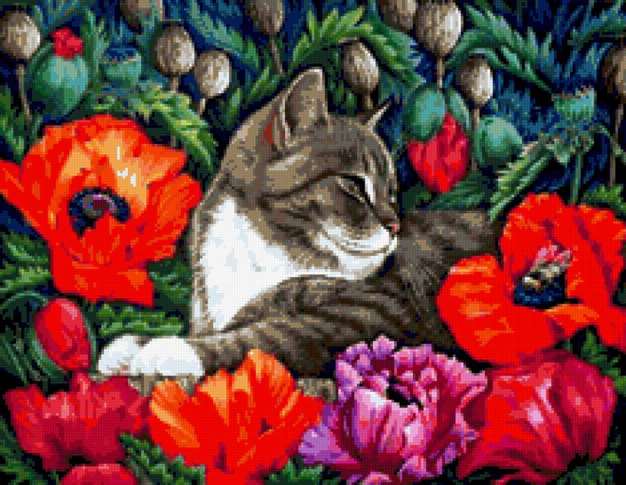 кошка и маки - маки, кошка, цветы - предпросмотр