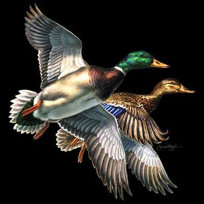 №349781 - оригинал