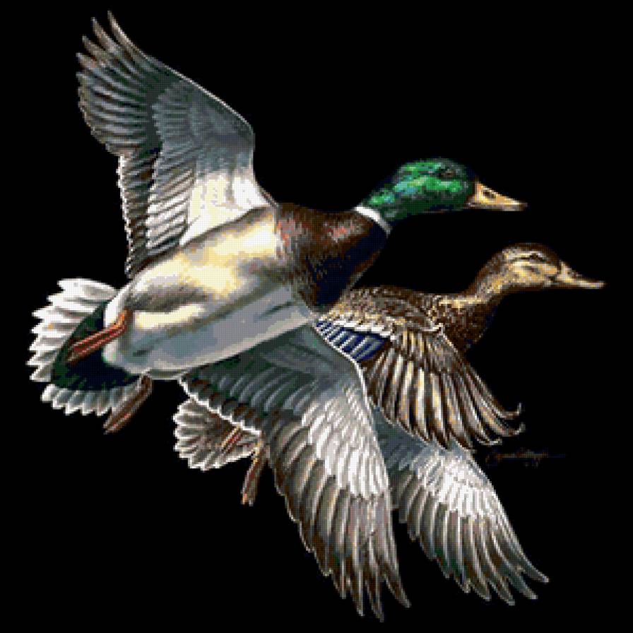 №349781 - предпросмотр