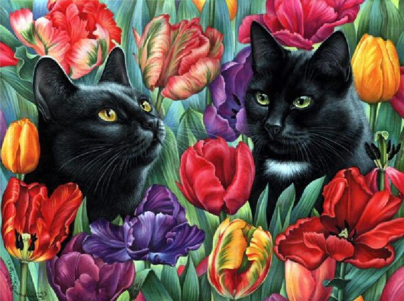 черные коты - коты, цветы, трава - оригинал