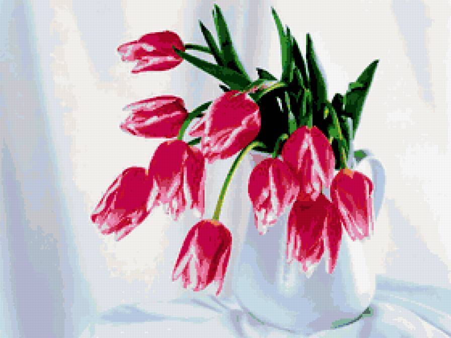 тюльпаны - цветы, букет, тюльпаны - предпросмотр