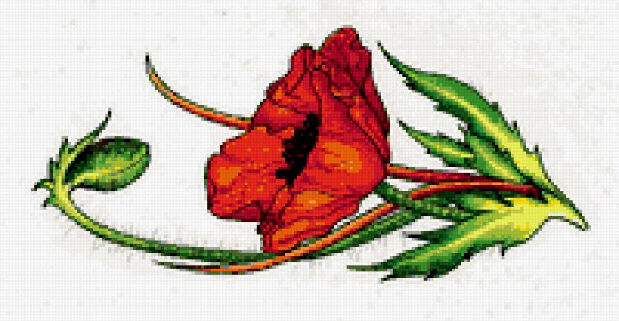 мак - скатерть, маки, салфетка, цветы - предпросмотр