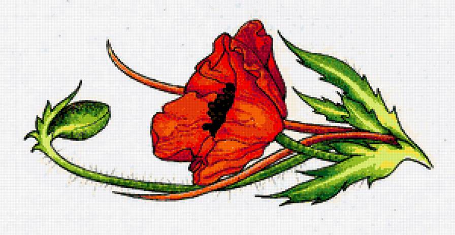 мак - салфетка, скатерть, цветы, маки - предпросмотр