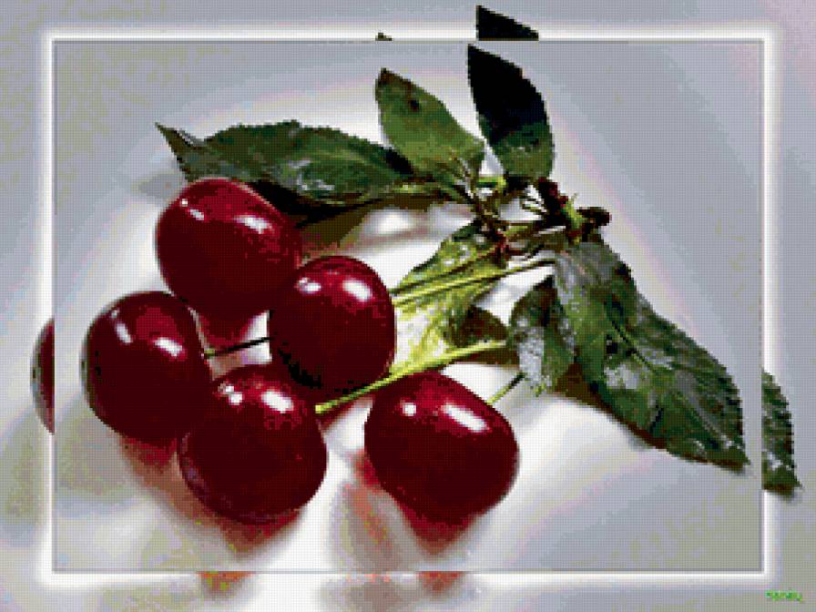 вишня - вишня, ягоды - предпросмотр