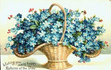 букет цветов - незабудки - оригинал