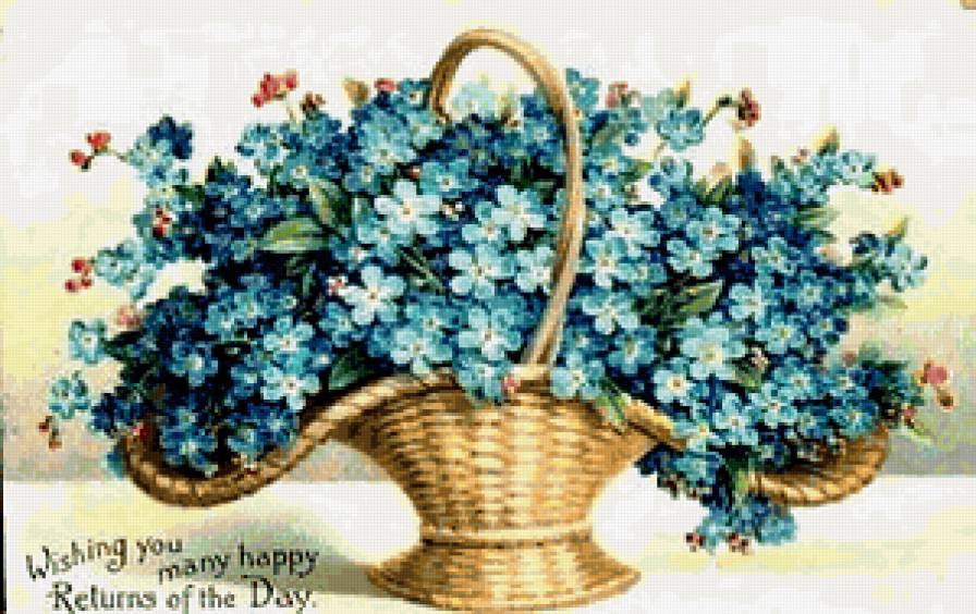 букет цветов - незабудки - предпросмотр