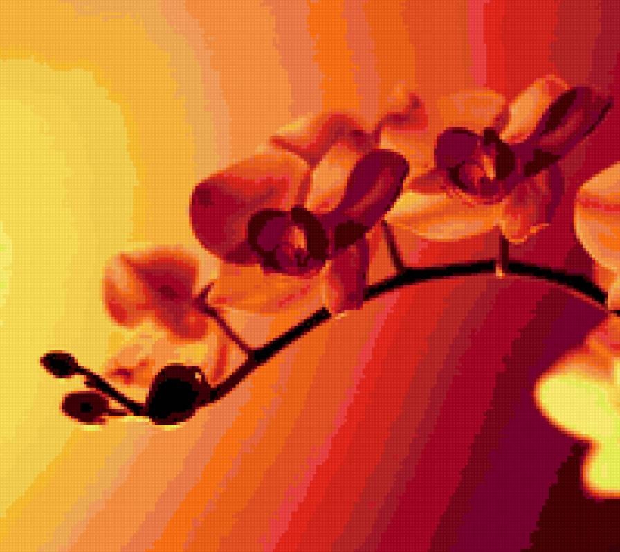 ветка орхидеи - цветы, орхидея - предпросмотр