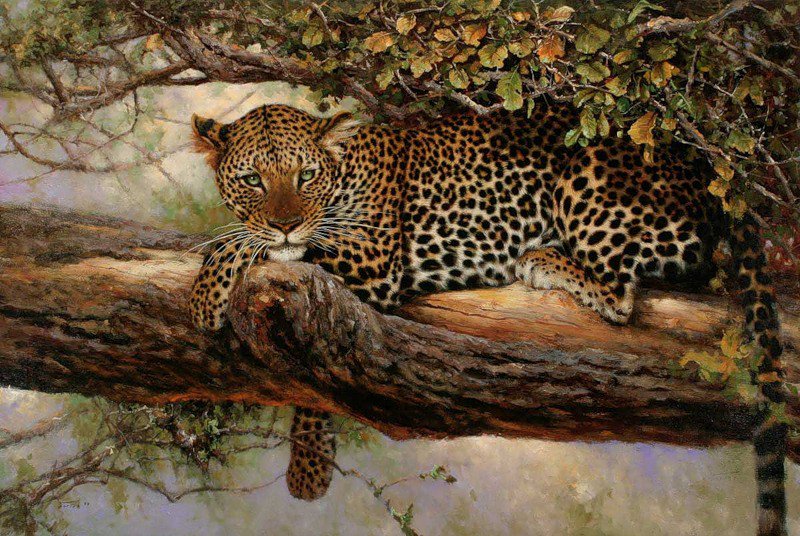 дикие животные - гепард - оригинал