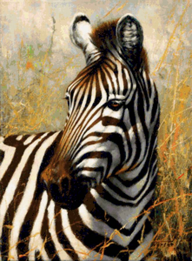 дикие животные - зебра - предпросмотр