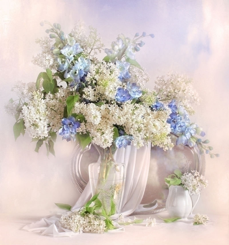 Натюрморт - оригинал