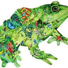 Схема вышивки «Лягуха - тропикана»