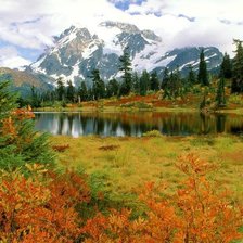 Схема вышивки «природа»