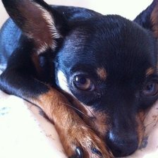 Схема вышивки «jes1»