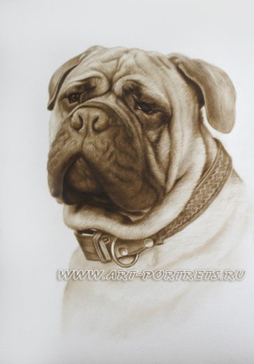 №350291 - оригинал