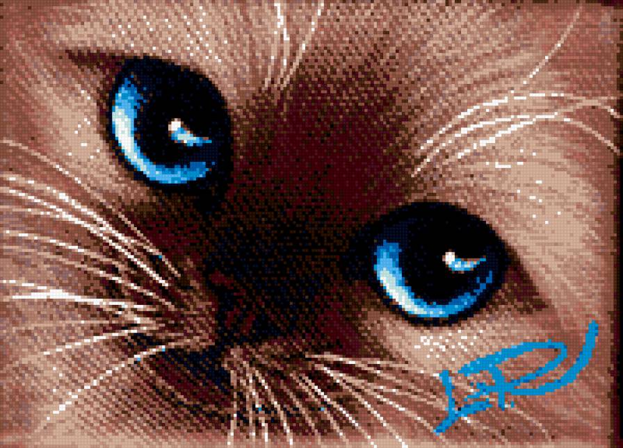 кошка - кошка - предпросмотр