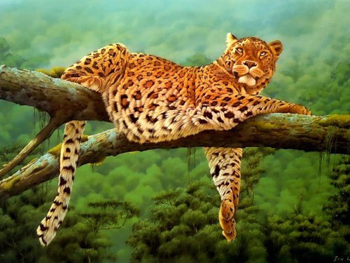 №350440 - хищники, животные, кошки - оригинал