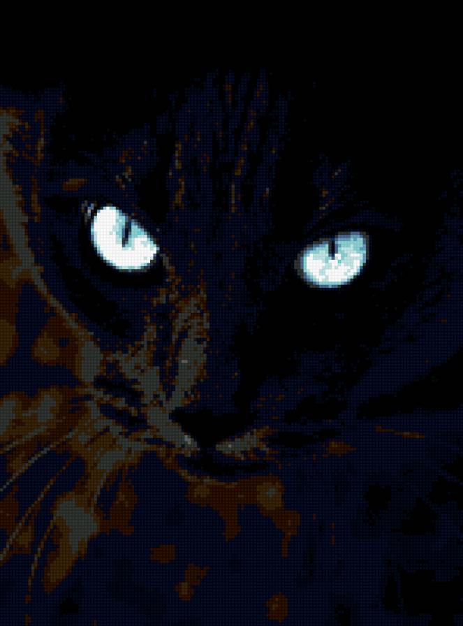 КОШКА - кот - предпросмотр