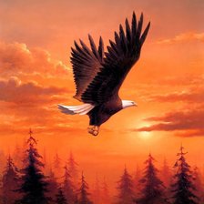 Схема вышивки «№350503»