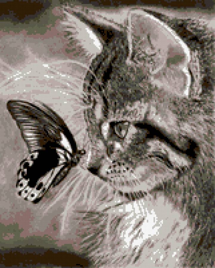 киска и бабочка - кошка - предпросмотр